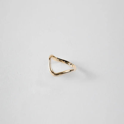 Anel Nascente - Liso